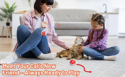 Automatic Rolling Cat Ball Toy, 2-Speed Modes, Teasing Tail & Bell Charm, Interactive Self Play Chasing Silicone Ball Toy for Indoor Cats ⭐⭐⭐⭐⭐ (4.7/5)