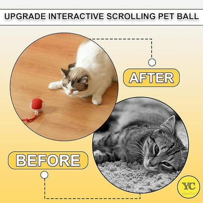 Automatic Rolling Cat Ball Toy, 2-Speed Modes, Teasing Tail & Bell Charm, Interactive Self Play Chasing Silicone Ball Toy for Indoor Cats ⭐⭐⭐⭐⭐ (4.7/5)