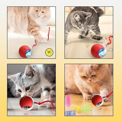 Automatic Rolling Cat Ball Toy, 2-Speed Modes, Teasing Tail & Bell Charm, Interactive Self Play Chasing Silicone Ball Toy for Indoor Cats ⭐⭐⭐⭐⭐ (4.7/5)