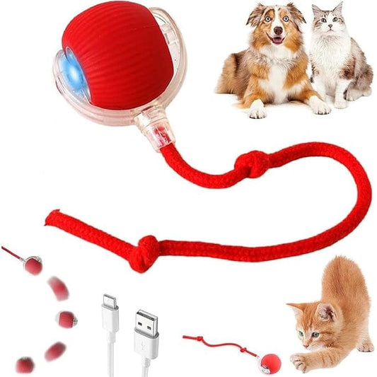 Automatic Rolling Cat Ball Toy, 2-Speed Modes, Teasing Tail & Bell Charm, Interactive Self Play Chasing Silicone Ball Toy for Indoor Cats ⭐⭐⭐⭐⭐ (4.7/5)