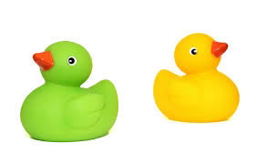 DUCK